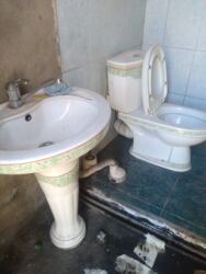 фудболный газон: Унитаз