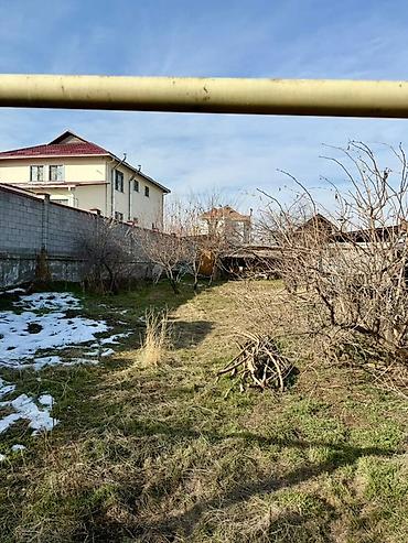 Жер тилкелери: 10 соток, Курулуш, Кызыл китеп, Техпаспорт, Сатып алуу-сатуу келишими — 3