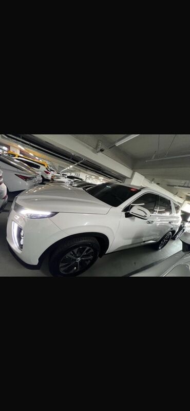 Hyundai: Hyundai Palisade: 2018 г., 2.2 л, Автомат, Дизель, Внедорожник — 8