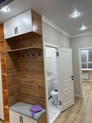 500: 1 комната, 53 м², Технопарк Элитка, 5 этаж, Евроремонт — 4