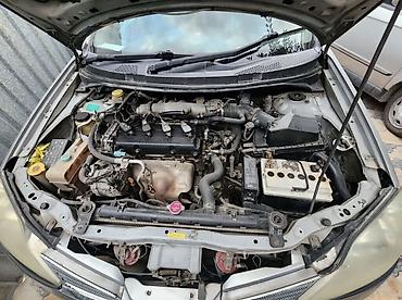 shevrolet lacetti: Nissan Primera: 2001 г., 1.9 л, Вариатор, Бензин — 3