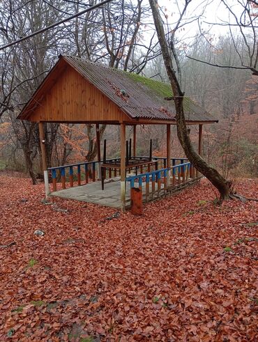 Restoran, kafelər: Masalli İsti su yaxin. 3 hektar ərazi 7 katej 6 bisetka. Tam islek -da lalafo.az — 23 Restoran, kafelər: Masalli İsti su yaxin. 3 hektar ərazi 7 katej 6 bisetka. Tam islek — 23