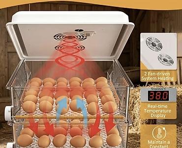 İnkubatorlar: Gence. İnkubasiya aparatı – iki mərtəbəli, avtomatik yumurtaçevirmə — 2
