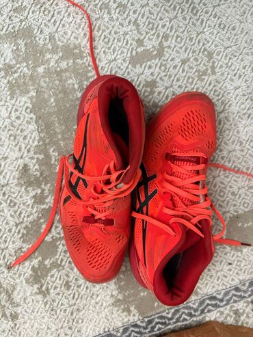 спортивные бриджи мужские: Кроссовки ASICS (серия для бега/тренировок) - Яркий