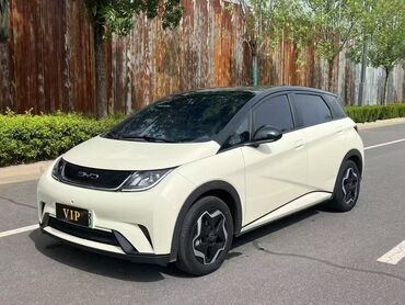 BYD: BYD : 2023 г., 0.1 л, Робот, Электромобиль, Хэтчбэк