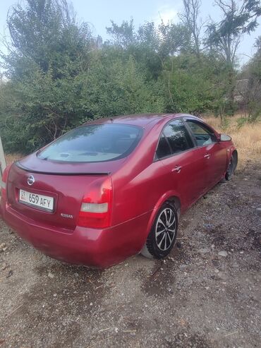 пасат в4: Nissan Primera: 2002 г., 2 л, Автомат, Бензин, Седан