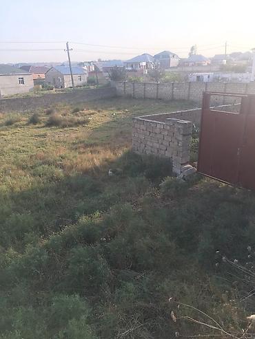 tacir info: 10 sot, Tikinti, Mülkiyyətçi, Kupça (Çıxarış) — 4