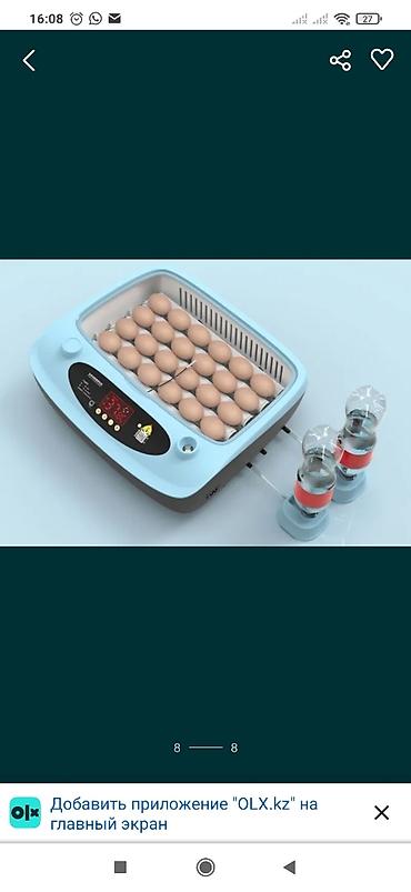 Товары и оборудование для с/х животных: Инкубаторы китайский сатылат жаңы полный автомат свет очсо 12 вольт — 3