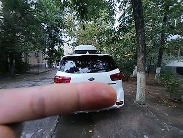 carnival: Kia Carnival: 2020 г., Минивэн — 3