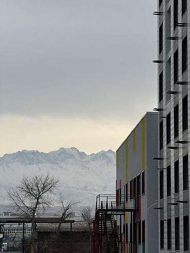 Продажа квартир: 1 комната, 41 м², Элитка, 4 этаж, Евроремонт — 3