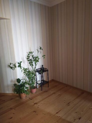 Köhnə tikili: Bakı, 2 otaqlı, Köhnə tikili, 67 kv. m — 9