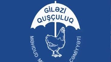 iş verilir: Giləzi Quşçuluq wirketine iwciler teleb olunur qalmaga yer verilir. İw