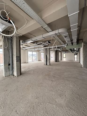 доброй плаза: Аренда коммерческих помещений в БЦ Orient Plaza 190 и 270 кв.м. г — 6