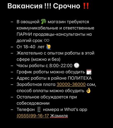 работа для спринтера: Сатуучу консультант, Тажрыйбасыз, Эркек