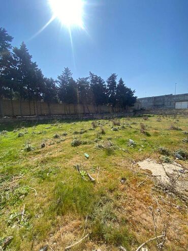 Torpaq sahələrinin satışı: 10 sot, Tikinti, Makler, Kupça (Çıxarış) — 4