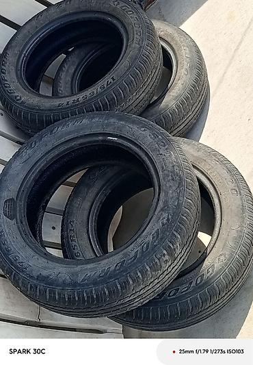 Птицы: Продам : Перепелов для развода возраст разный и на мясо . Яйца — 10