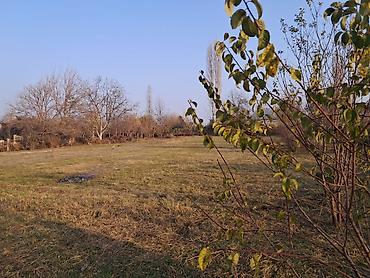 Torpaq sahələrinin satışı: 25 sot, Mülkiyyətçi — 5