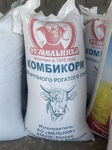 коровы для молоко: Комбикорм для крупно рогатого скота и МРС «От мельника» -Назначение — 1
