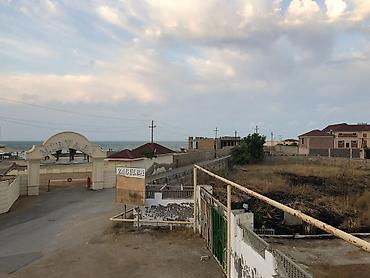 50 sot, Tikinti, Kupça (Çıxarış)