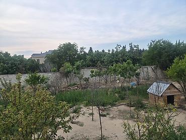 goradil: 3 sot, Tikinti, Mülkiyyətçi, Texniki pasport, Kupça (Çıxarış) — 2