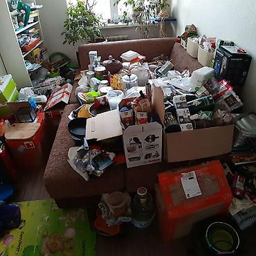 коты бишкек: Мы Поможем Вам освободить Ваш гараж балкон, сарай, квартиру от — 1