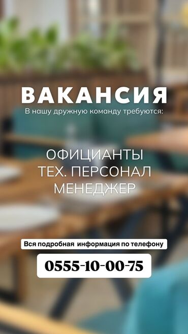 работа в бишкеке без опыта официант: Требуется Администратор: Кафе, 1-2 года опыта, Оплата Ежедневно