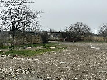 Torpaq sahələrinin satışı: Tikinti — 4