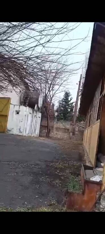 Kommersiya daşınmaz əmlakının satışı: Şəkidə fabrik satılır. Qiymətdə razılaşmaq. Yalnız real alıcılarla -da lalafo.az — 8 Kommersiya daşınmaz əmlakının satışı: Şəkidə fabrik satılır. Qiymətdə razılaşmaq. Yalnız real alıcılarla — 8