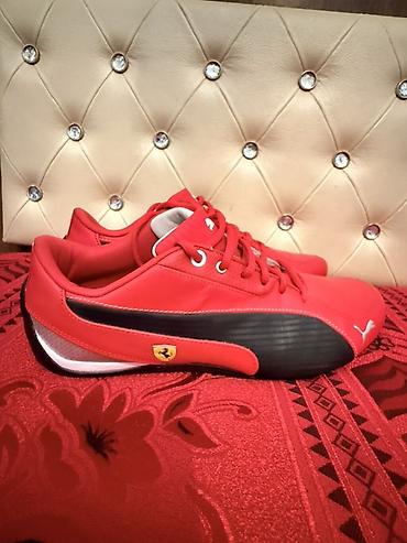 qırmızı vinston: Orijinal Puma Ferrari SportLifestyle Ölçü: EU 41 Vəziyyəti çox — 4