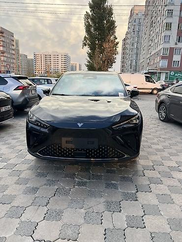 Hozon Neta L: 2024 г., 1.5 л, Автомат, Гибрид, Кроссовер — 4