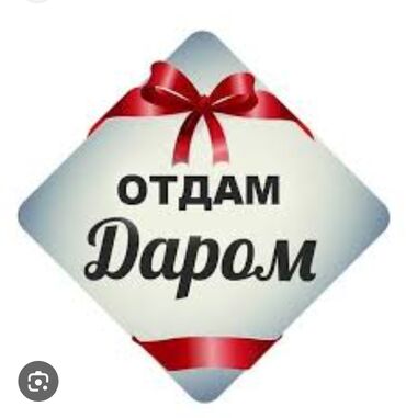 золотые цепочки женские фото цены бишкек: Бекер кийимдер идиш аяктар берилет