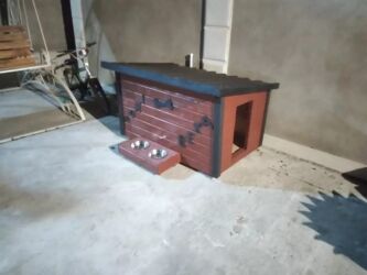 Yuvalar: It və pişik yuvaları — 11