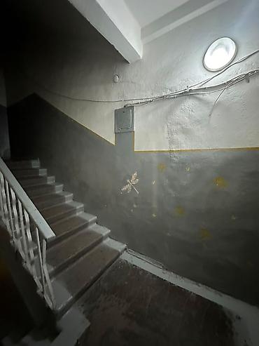 2 8: 2 комнаты, 44 м², Золотой квадрат Индивидуалка, 1 этаж, Косметический ремонт — 7