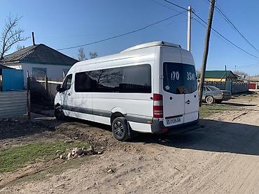 Mercedes-Benz: Mercedes-Benz Спринтер: 2007 г., 2.7 л, Механика, Дизель, Бус — 6