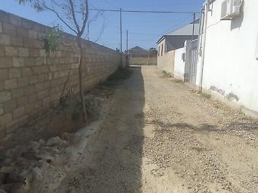 albalida torpaq satilir: 3 sot, Tikinti, Kupça (Çıxarış) — 1