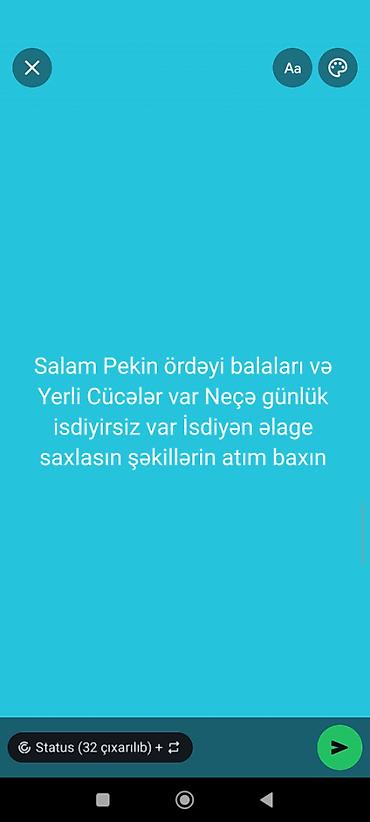 heyvan daşıma cantası: 055-897-76-06Wp — 1