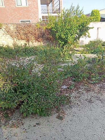Torpaq sahələrinin satışı: 8 sot, Tikinti, Mülkiyyətçi, Kupça (Çıxarış) — 5