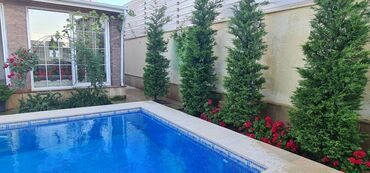 Bağ evlərinin kirayəsi: Mərdəkan, 200 kv. m, 7 otaqlı, Hovuzlu, İnternet, Qaz, İşıq — 20