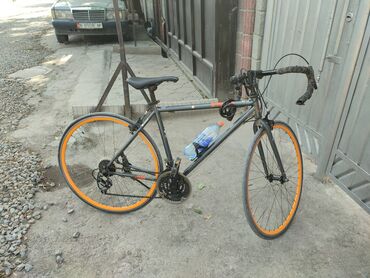 gray фикс: Шоссейный велосипед, GT, Рама XS (130 -155 см), Новый