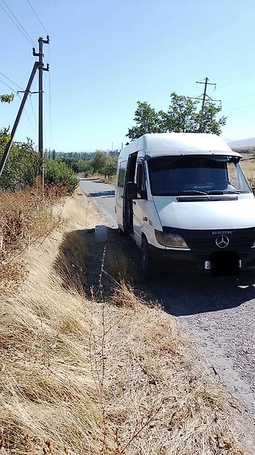 короткий спринтер: Mercedes-Benz Спринтер: 2005 г., 2.9 л, Механика, Дизель, Фургон — 3