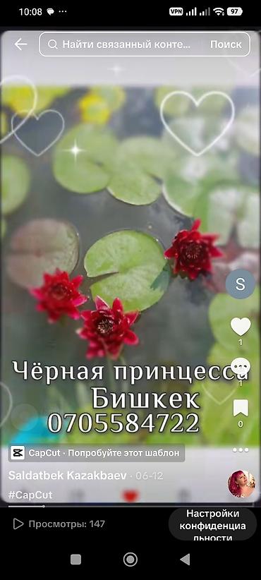 кел кел: Водная лилия (нимфея) сорта «Чёрная принцесса» — декоративное водное — 1