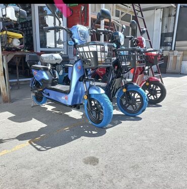 скутер моторолер: Сдается в аренду электро скутеры