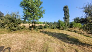 Torpaq sahələrinin satışı: Lerik rayonu Vizəzəmin kəndi ərazisində yerləşən ərazini tədqim — 9