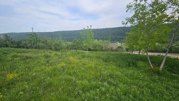 Torpaq sahələrinin satışı: 40 sot, Tikinti, Mülkiyyətçi, Kupça (Çıxarış) — 4