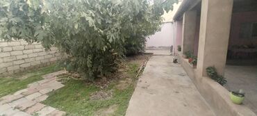 Həyət evləri və villaların satışı: Suraxanı 6 otaqlı, 175 kv. m, Kredit yoxdur, Yeni təmirli -da lalafo.az — 2 Həyət evləri və villaların satışı: Suraxanı 6 otaqlı, 175 kv. m, Kredit yoxdur, Yeni təmirli — 2