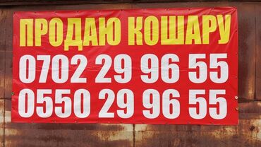 азиз недвижимость: Продаю Продаю Кошара, 333 соток, Действующий, Электричество