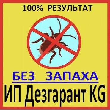 помощь по дому: Дезинфекция, дезинсекция, | Клопы, Блохи, Тараканы, | Транспорт, Офисы, Квартиры
