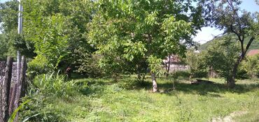 Torpaq sahələrinin satışı: 10 sot, Tikinti, Mülkiyyətçi, Kupça (Çıxarış) — 11