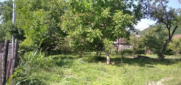 Torpaq sahələrinin satışı: 10 sot, Tikinti, Mülkiyyətçi, Kupça (Çıxarış) — 14