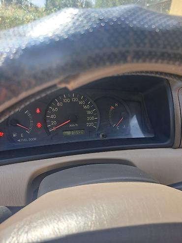 lexus 33: Toyota Corolla: 2004 г., 1.3 л, Механика, Бензин, Седан — 2